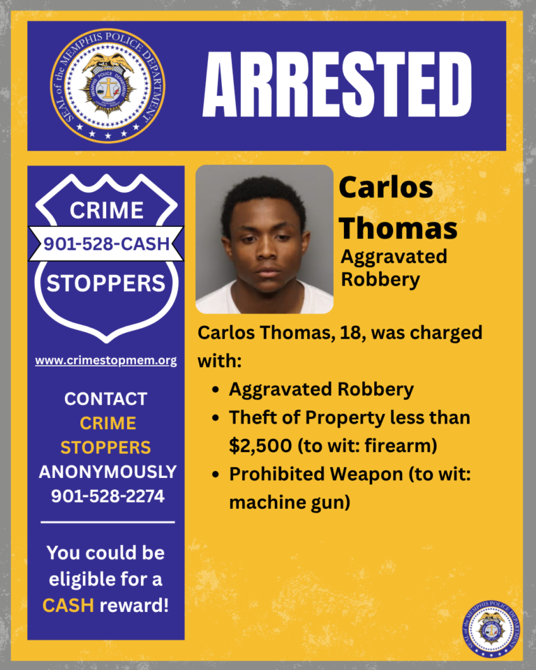 Armed Robbery Suspects Arrested; Stolen Puppies Returned Safely ...