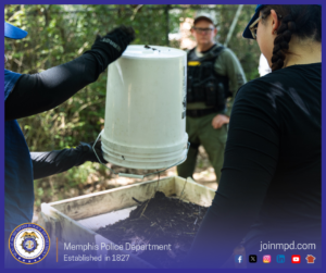 Two individuals are working outdoors in a wooded area, pouring material from a white plastic bucket onto a large rectangular sifting screen filled with soil and debris. One person holds the bucket while another stands beside the screen, watching the process. In the background, a uniformed individual wearing tactical gear stands among the trees. Sunlight filters through the foliage, creating a mix of light and shadow across the scene. At the bottom of the image, text reads “Memphis Police Department – Established in 1827,” alongside social media icons and the website joinmpd.com.