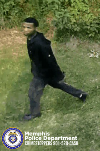 A surveillance-style outdoor image shows one individual moving across a grassy area. The individual is wearing a dark jacket, dark pants, and dark footwear with a lighter-colored sole. The background is filled with dense greenery, including bushes and plants. The ground slopes slightly downward from left to right. In the bottom left corner, a Memphis Police Department badge graphic is displayed along with text that reads “Memphis Police Department CRIMESTOPPERS 901‑528‑CASH.”