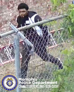 A person is shown moving alongside a chain‑link fence in an outdoor area with grass and scattered vegetation. The person is wearing a dark jacket with light-colored sections on the front and sleeves, along with dark pants. Behind the fence, a brick wall is visible, and a ladder is lying on the ground parallel to the wall. In the lower-left corner, there is a Memphis Police Department badge and text that reads “Memphis Police Department CRIMESTOPPERS 901‑528‑CASH.”