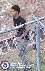 A person is shown running alongside a chain‑link fence in an outdoor area with grass and some vegetation. The person is wearing a dark T‑shirt with a light‑colored graphic on the front and light‑colored pants. Behind the fence, a ladder is positioned horizontally against a brick wall. In the lower‑left corner, there is a Memphis Police Department badge and text that reads "Memphis Police Department CRIMESTOPPERS 901‑528‑CASH."