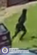 A low‑resolution surveillance‑style image shows a single individual moving across a grassy area. The person is captured mid‑stride with one leg extended forward. The individual is wearing dark clothing and is positioned near the lower edge of a sloped grassy surface. Part of a vehicle is visible in the lower-left corner. In the bottom-left corner of the image, there is a Memphis Police Department logo along with the text “Memphis Police Department CRIMESTOPPERS 901‑528‑CASH.”