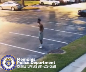 A surveillance-style image shows a mostly empty parking lot during daylight. A person without a shirt, wearing light-colored shorts and white footwear, is standing in one of the parking spaces near the edge of a grassy area. Several parked vehicles, including a white one and a dark one, are visible in the background. The foreground includes a grassy strip and part of a sidewalk. At the bottom left corner, there is a Memphis Police Department badge graphic with text that reads, “Memphis Police Department CRIMESTOPPERS 901-528-CASH.”